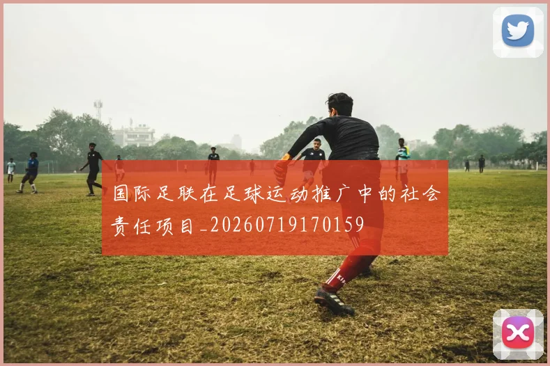 国际足联在足球运动推广中的社会责任项目_20260719170159
