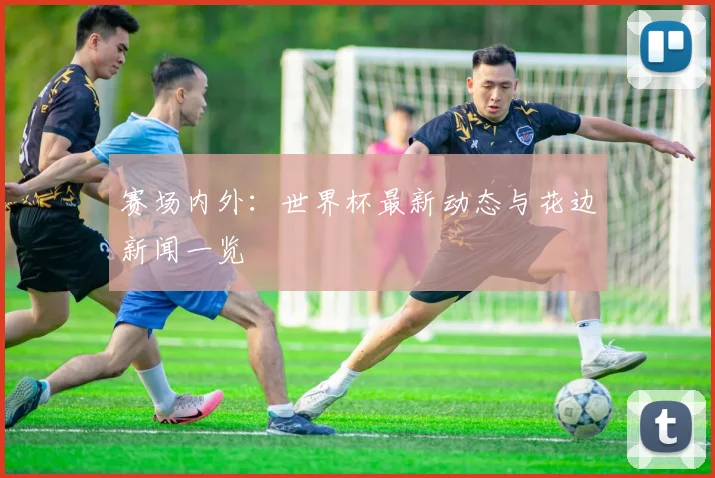 赛场内外：世界杯最新动态与花边新闻一览