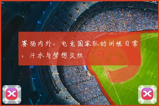 赛场内外,电竞国家队的训练日常,汗水与梦想交织