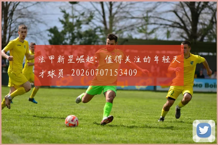 法甲新星崛起:值得关注的年轻天才球员_20260707153409