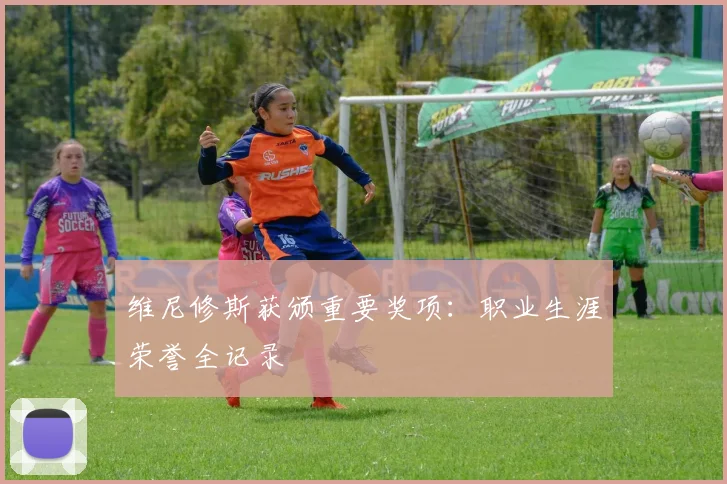 维尼修斯获颁重要奖项:职业生涯荣誉全记录
